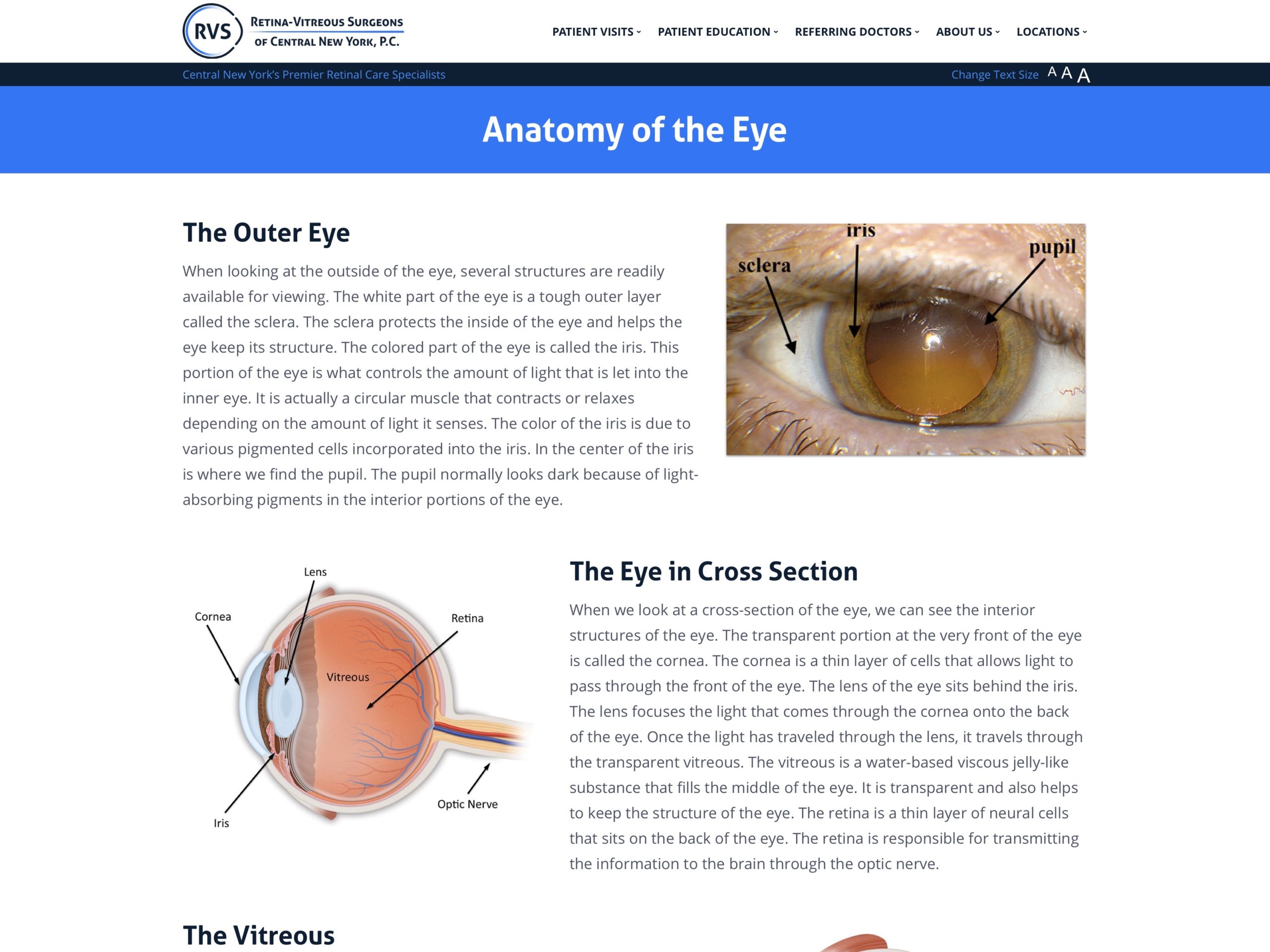 Normal Retinal Anatomy - The Retina Reference